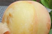 融合甜香，口感细腻，营养美味（融合甜香，口感细腻，营养美味）