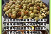 以养生南瓜蒸大枣，提高免疫力（教你如何做出美味营养的南瓜蒸大枣）