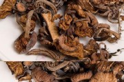 用青杠菌炖牛骨汤，滋味与健康兼得！（一份牛骨汤，多种食材搭配，让你健康美味两不误！）