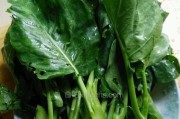 家常美食——肉末浇芥兰（做法简单，营养美味，让你爱上素菜）