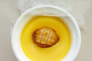 美味鲜鲍蛋羹的制作方法（一道简单易学的营养美食）