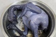 美食盛宴之箱烤乌鸡（传统做法重现，滋味无穷！——探秘乌鸡箱烤的制作方法）