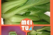 三彩鸡丁，做出口感鲜嫩美味的佳肴（传承美食文化，品尝饕餮盛宴）
