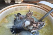 山药甲鱼汤的做法（以传统秘方熬制的滋补佳品）
