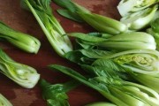以芽苗菜小油菜的做法（新鲜健康，美味佳肴）