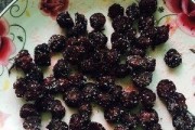 天然杨梅汁的制作方法（健康生活的必备饮品，纯天然杨梅汁）